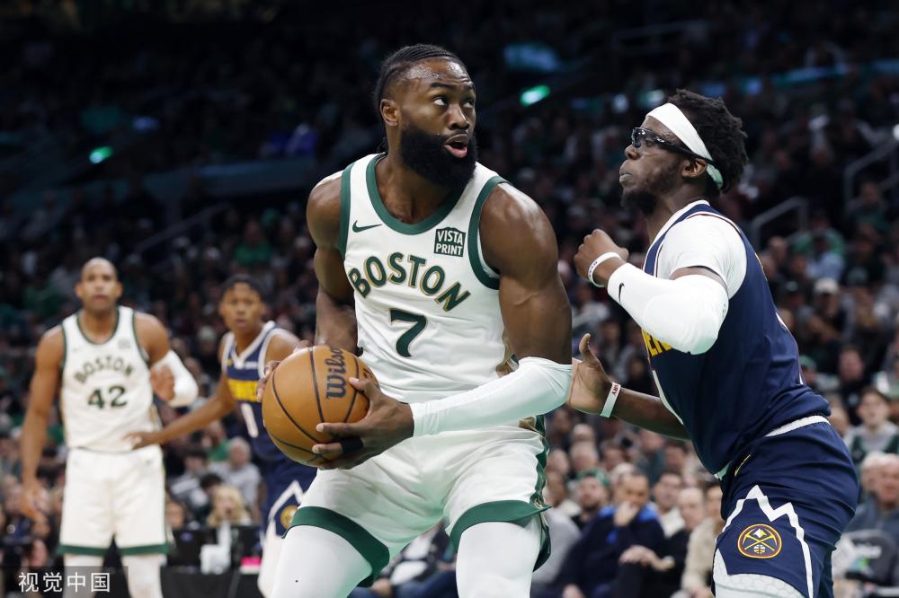 动爱好者的 动爱好者的