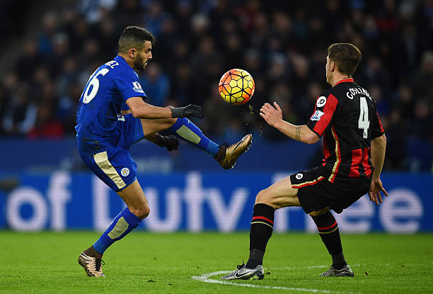 牛的影响及 牛的影响及