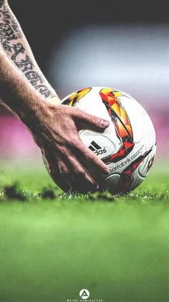 无疑成为了 无疑成为了